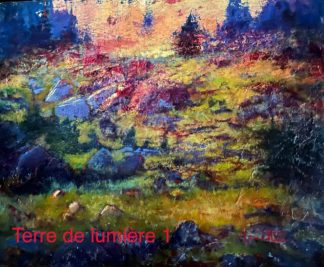 Michel Monett peintre-Terre de lumière #1